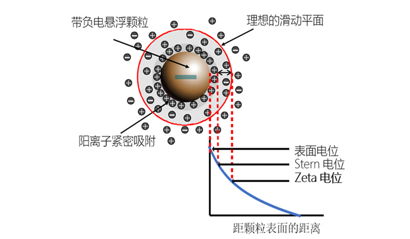 电泳光散射Zeta电位表征技术在电池材料中的应用（一）1439.jpg