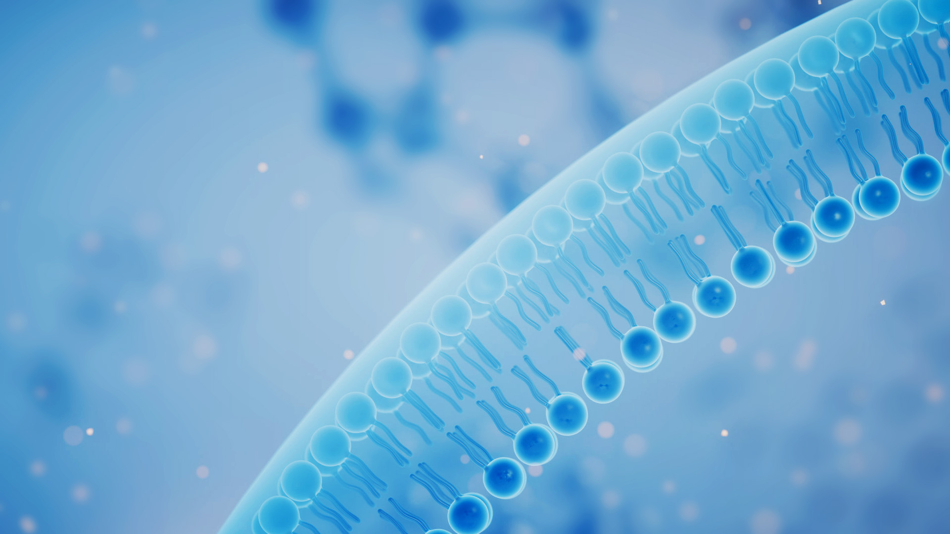 欧美克
成就微观无限潜能