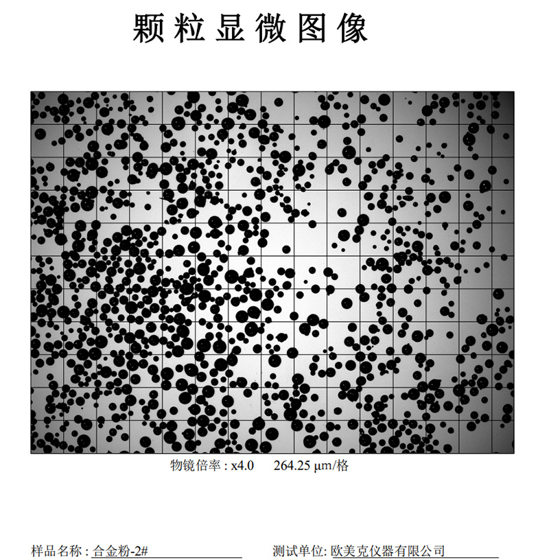 合金粉图像1.jpg