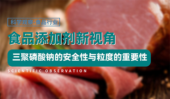 食品添加剂新视角：三聚磷酸钠的安全性与粒度的重要性