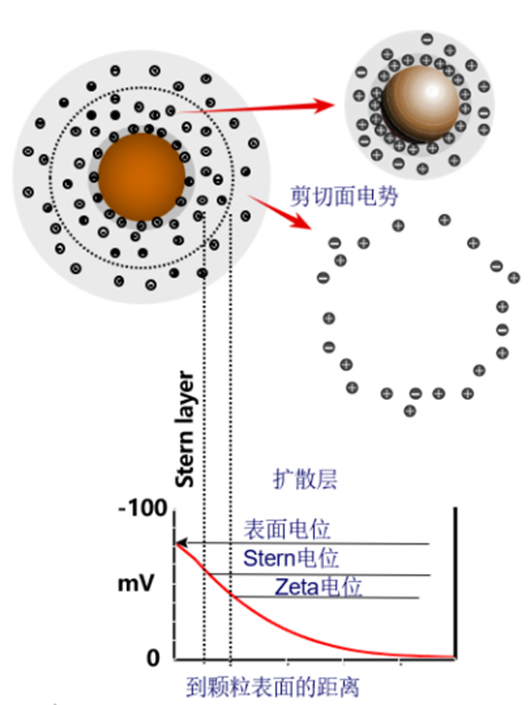 纳米粒度及Zeta电位分析技术在农药悬浮剂中的应用综述-SamEd - 副本2583.jpg 纳米粒度及Zeta电位分析技术在农药悬浮剂中的应用综述-SamEd - 副本2583.jpg
