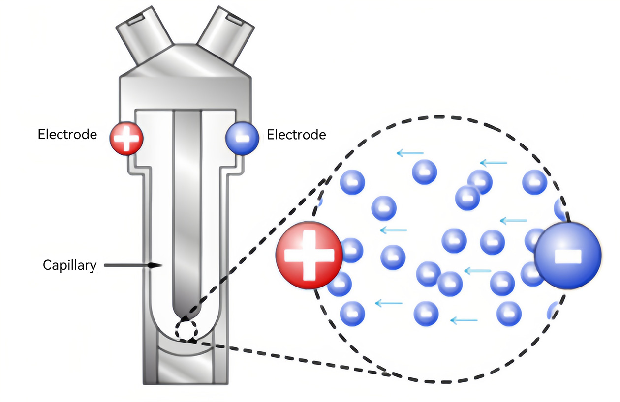 NS-180Z系列产品介绍-2603_XF edit4739.jpg