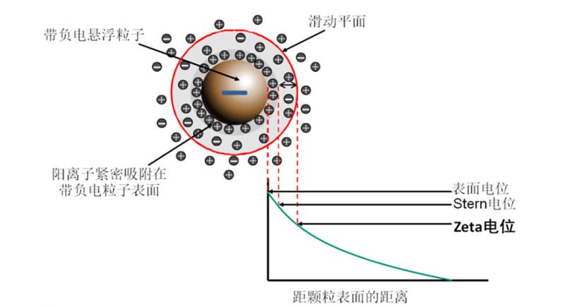 OMEC 纳米粒度及电位分析仪NS-90Z Plus的新功能新特性_ZG704.png OMEC 纳米粒度及电位分析仪NS-90Z Plus的新功能新特性_ZG704.png